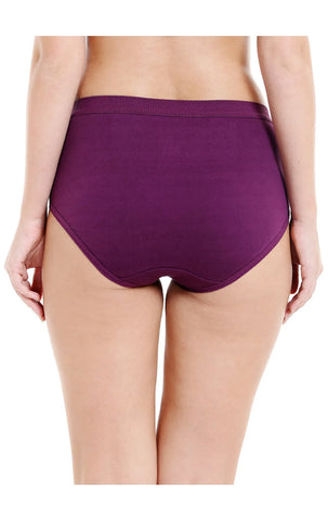 Bodycare Pack of 3 Assorted Cotton Solid Hipster Briefs-2930D