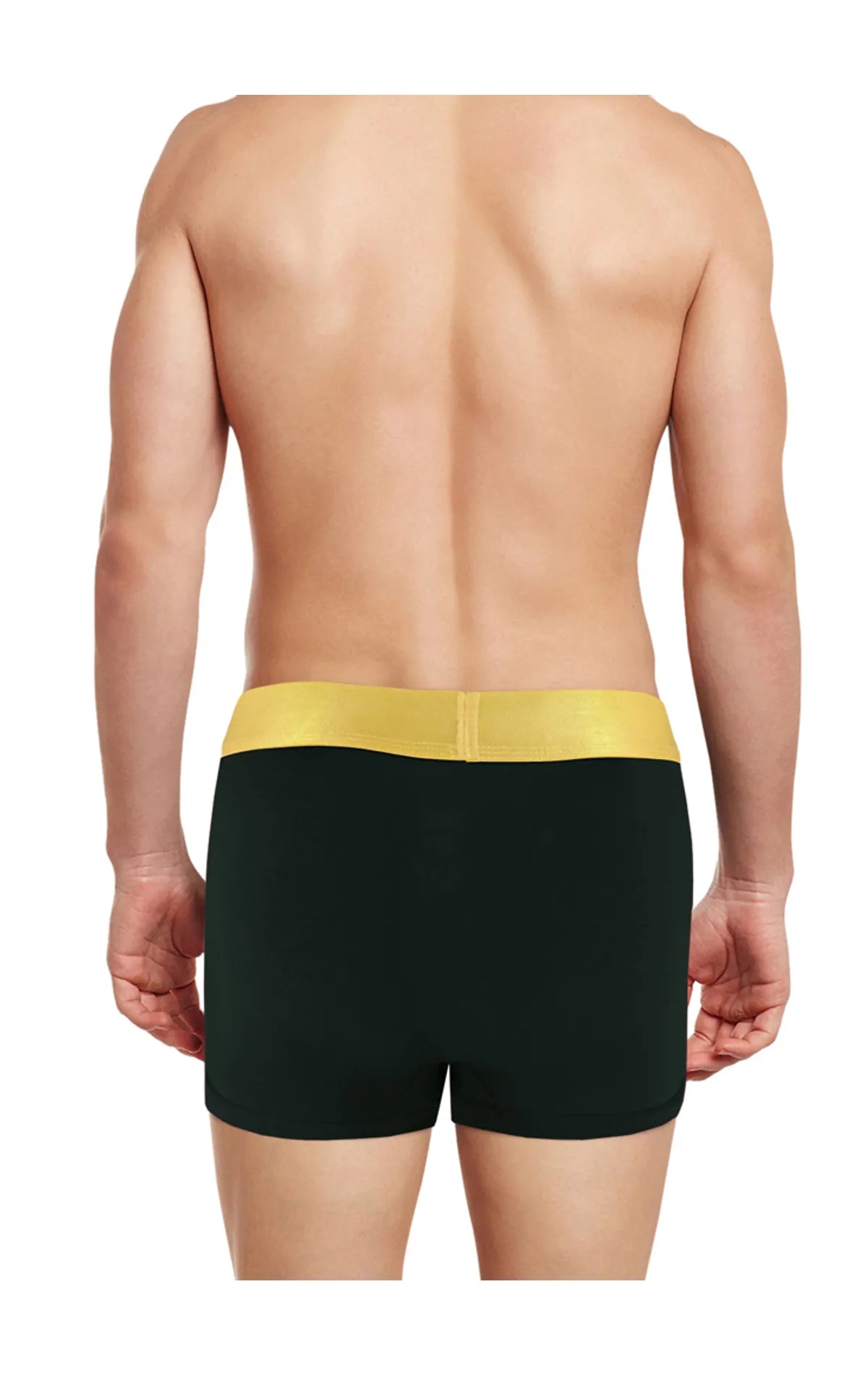 BodyX Elaganza Solid Trunks Pack of 5 -BX36T-Assorted