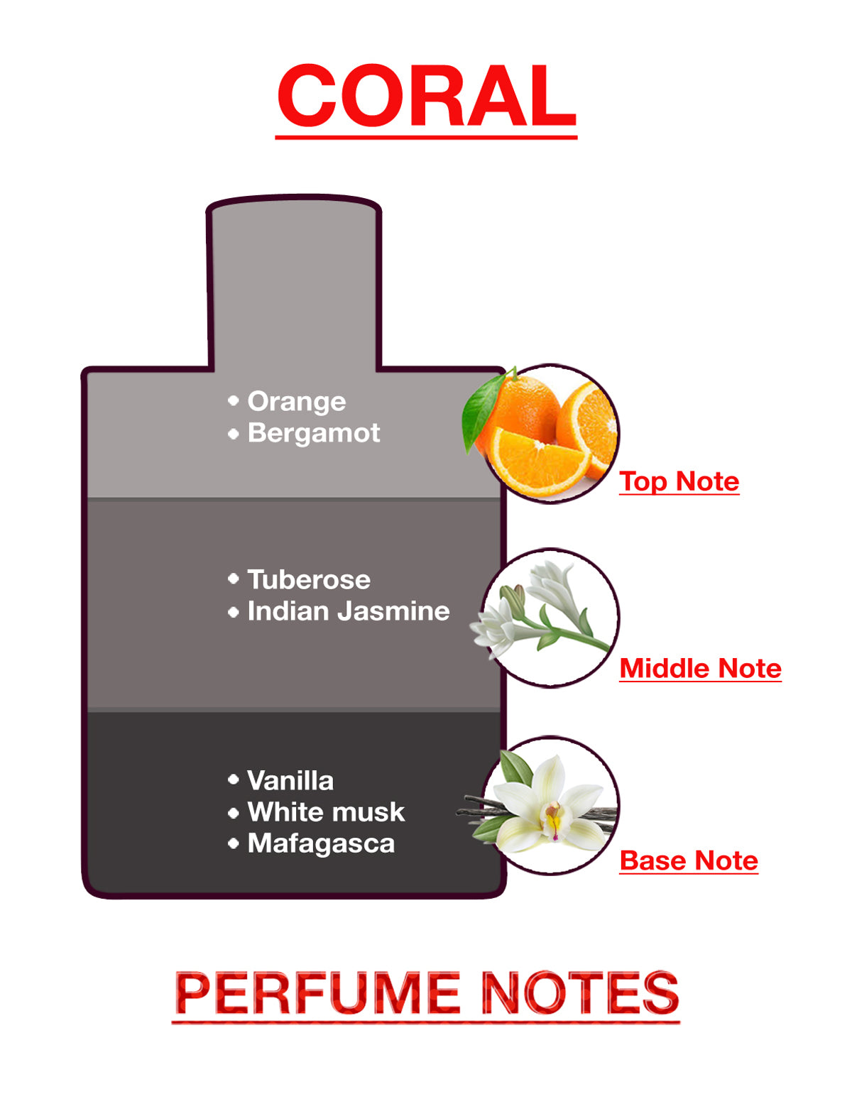 BodyX Coral Eau De Parfum for Women Long-Lasting Feminine Fragrance-100ml