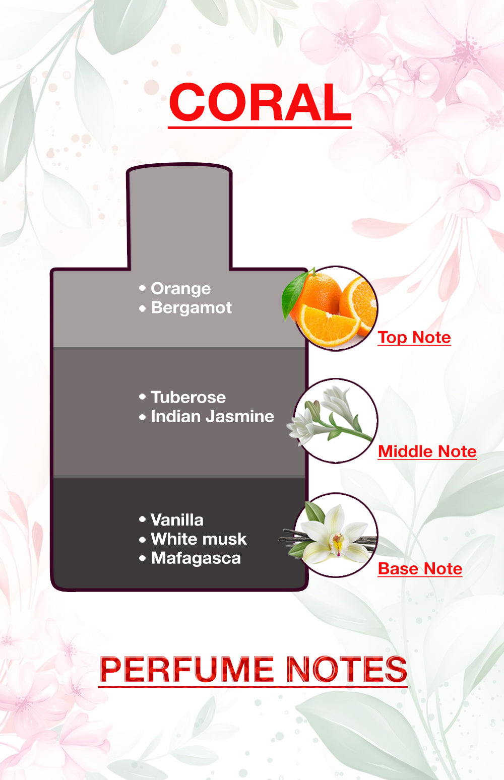 BodyX Unisex Perfume CORAL EDP 100ML