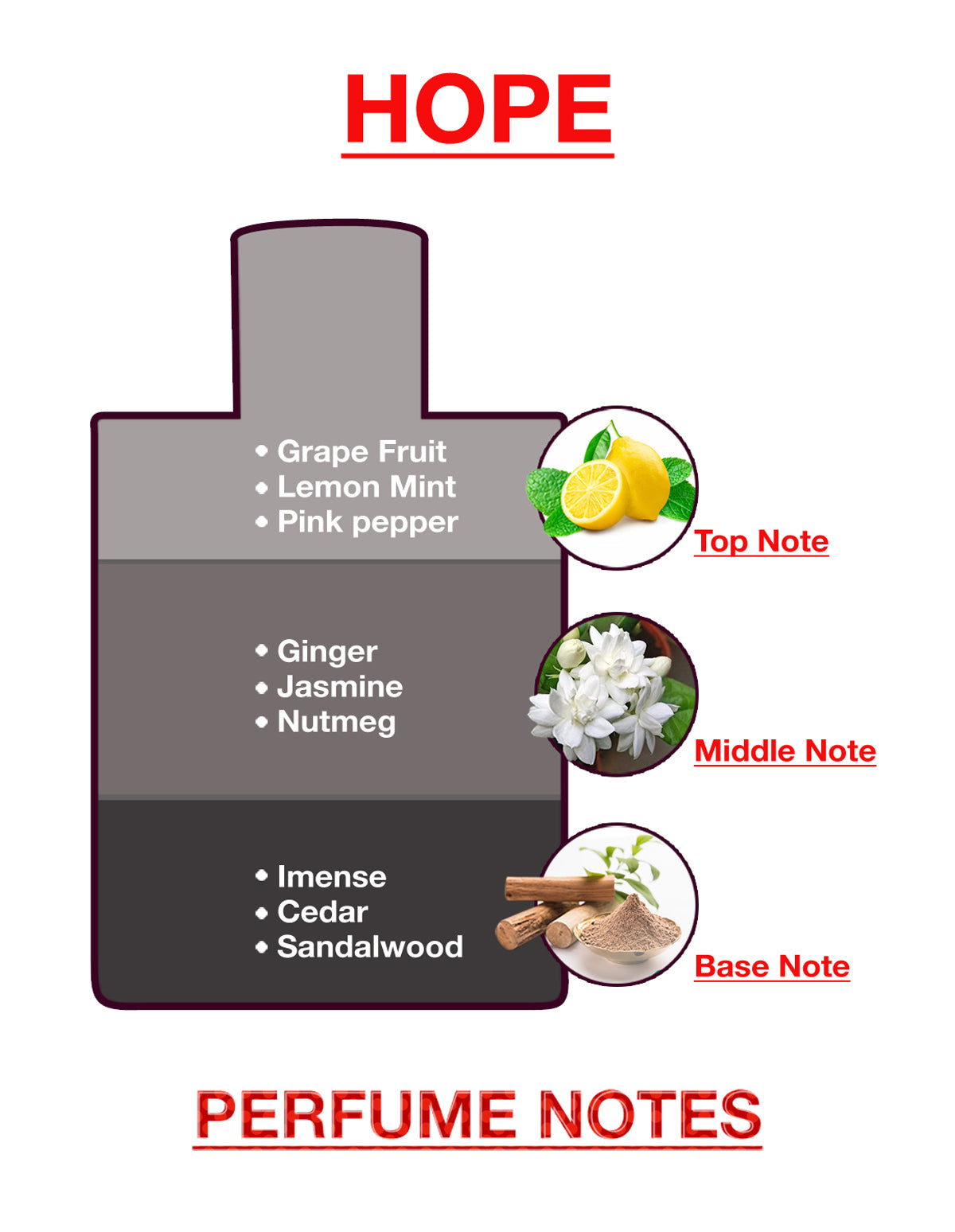 BodyX Hope Eau De Parfum for Men Long-Lasting Masculine Fragrance-25ml