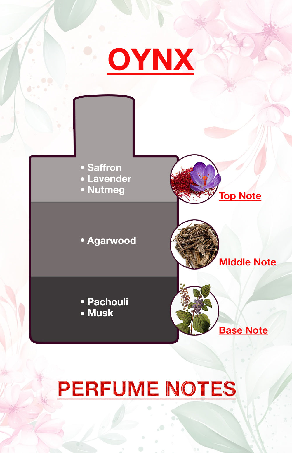 BodyX Unisex Perfume OYNX EDP 100ML