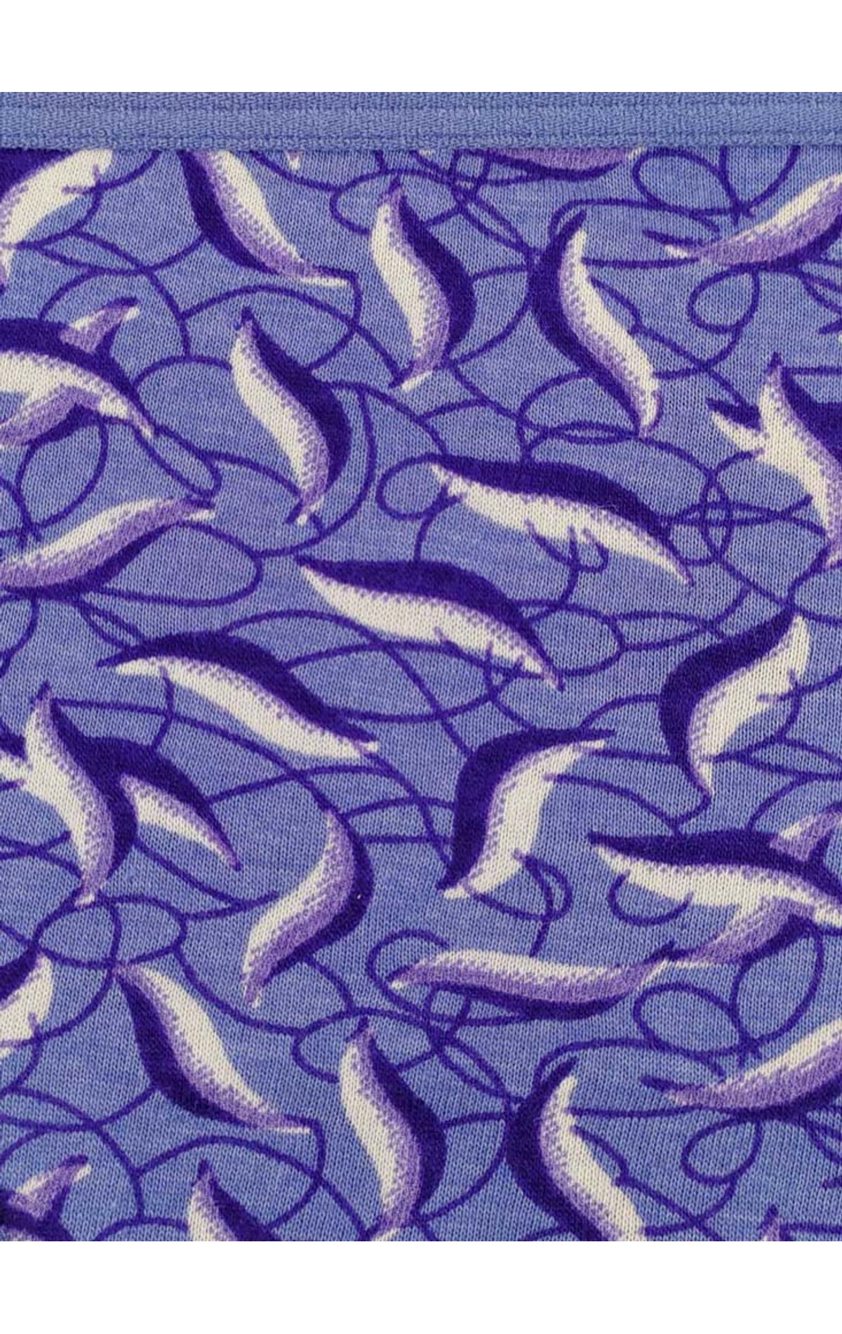 Bodycare 100% cotton Teenager Panties in Pack of 3-T-1025-Assorted