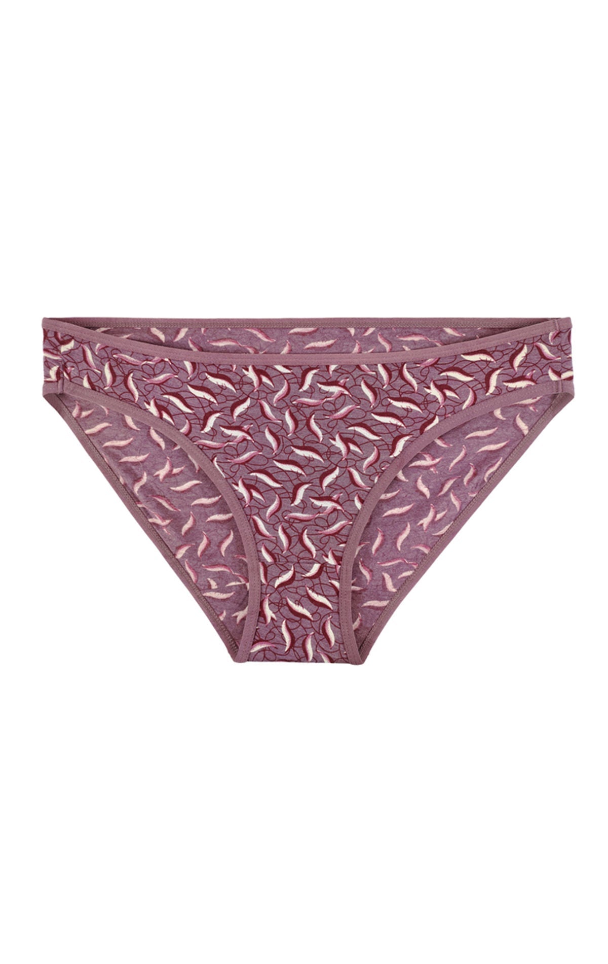 Bodycare 100% cotton Teenager Panties in Pack of 3-T-1025-Assorted