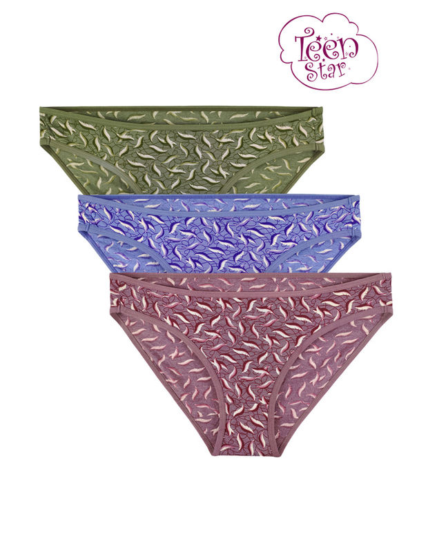 Bodycare 100% cotton Teenager Panties in Pack of 3-T-1025-Assorted