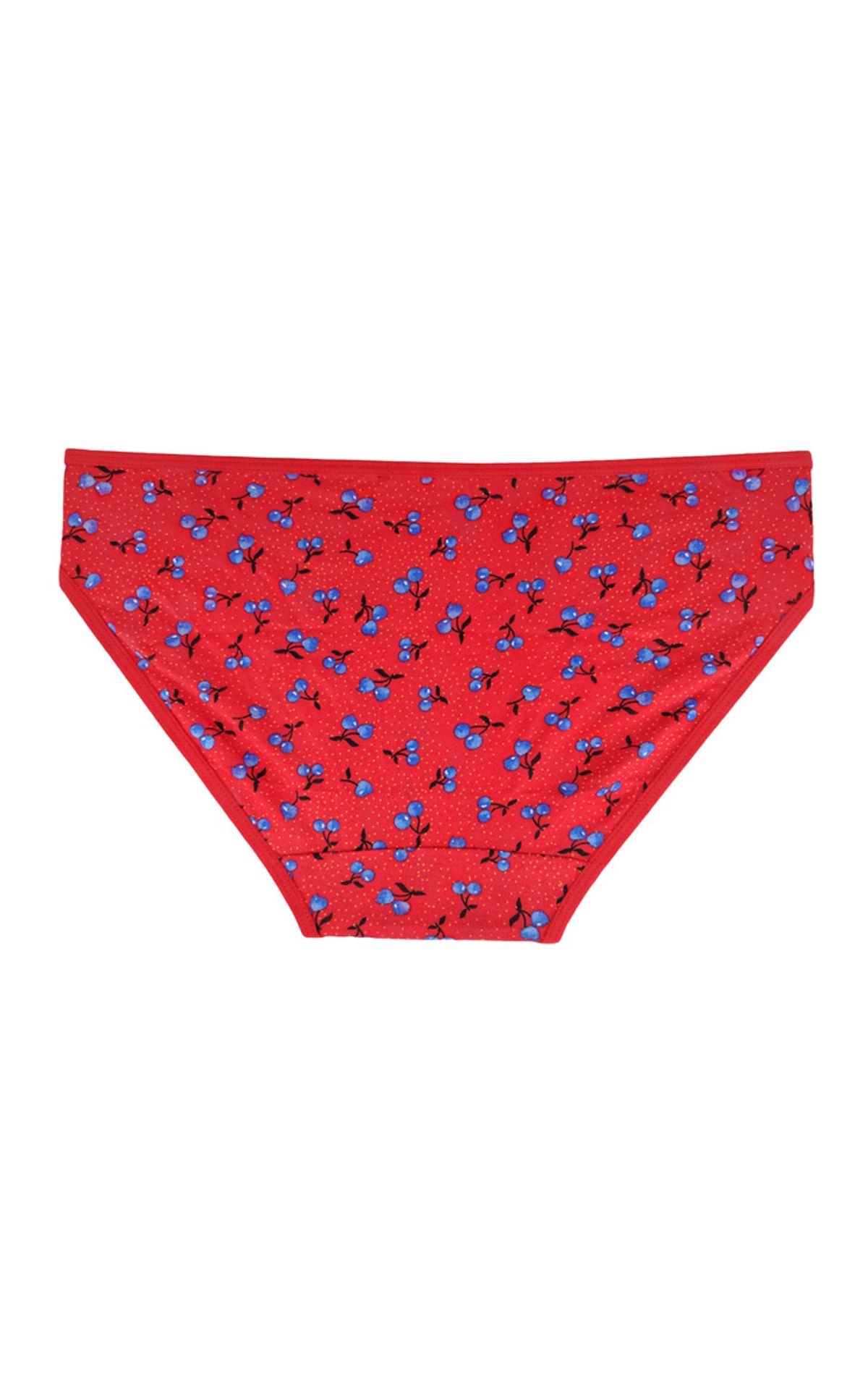 Bodycare 100% cotton Teenager Panties in Pack of 3-T-1044-Assorted