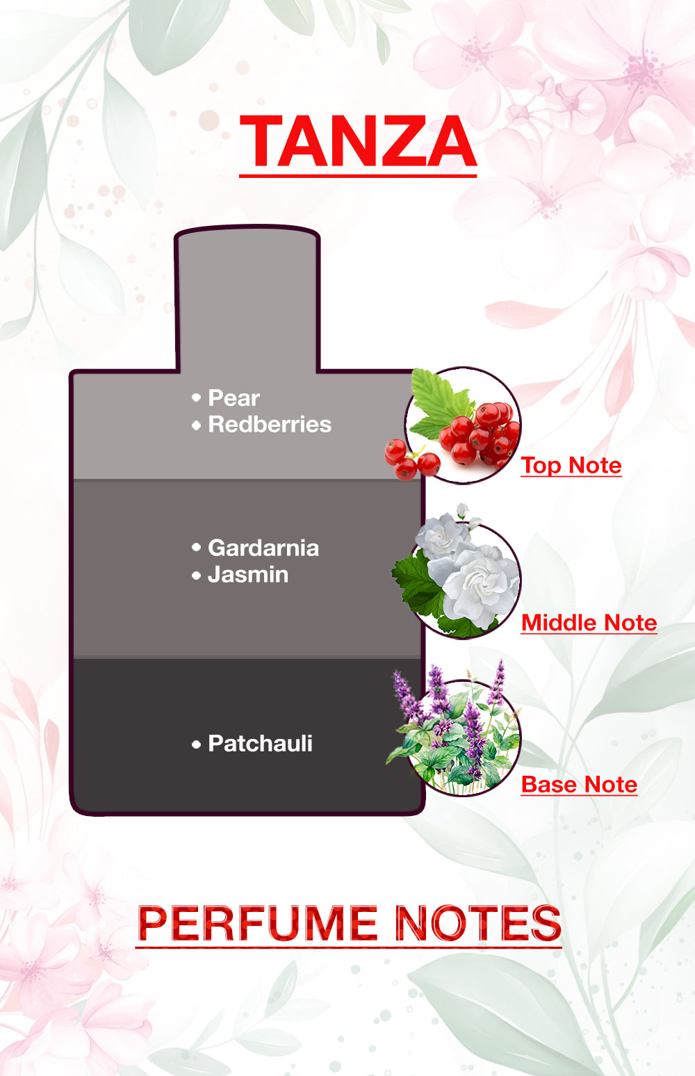 BodyX Unisex Perfume TANZA EDP 100ML