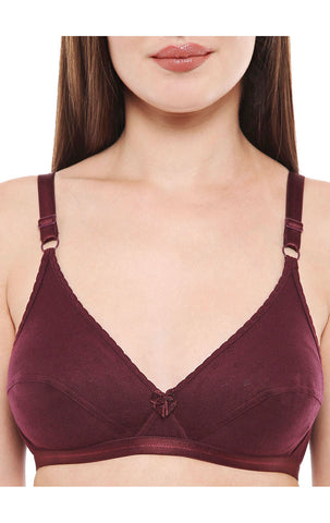 Perfect Coverage Bra-1507WI