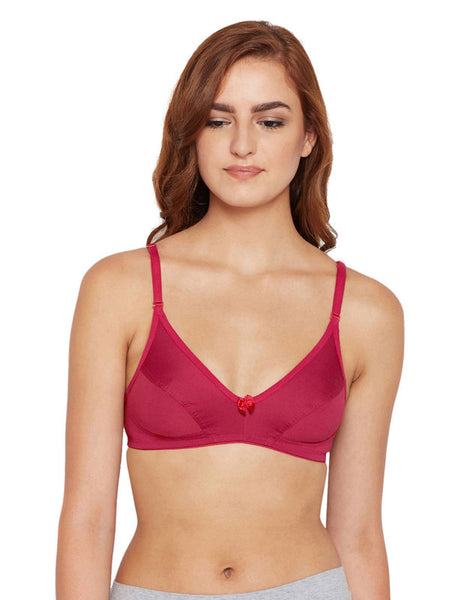 Perfect Coverage Bra-1518-Fuchsia