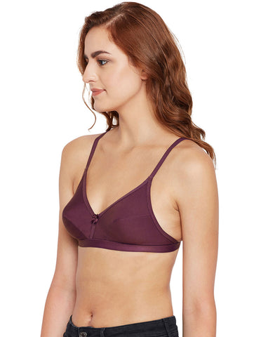 Perfect Coverage Bra-1524-WI