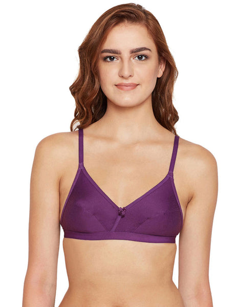 Perfect Coverage Bra-1524-WI