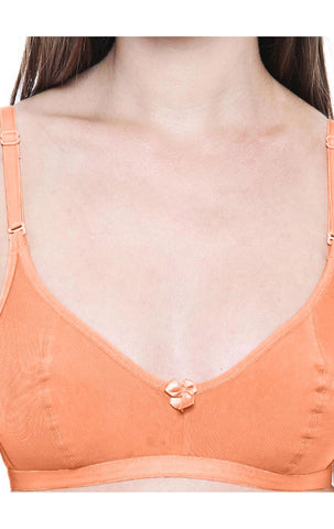 Perfect Coverage Bra-1575Peach with free transparent strap