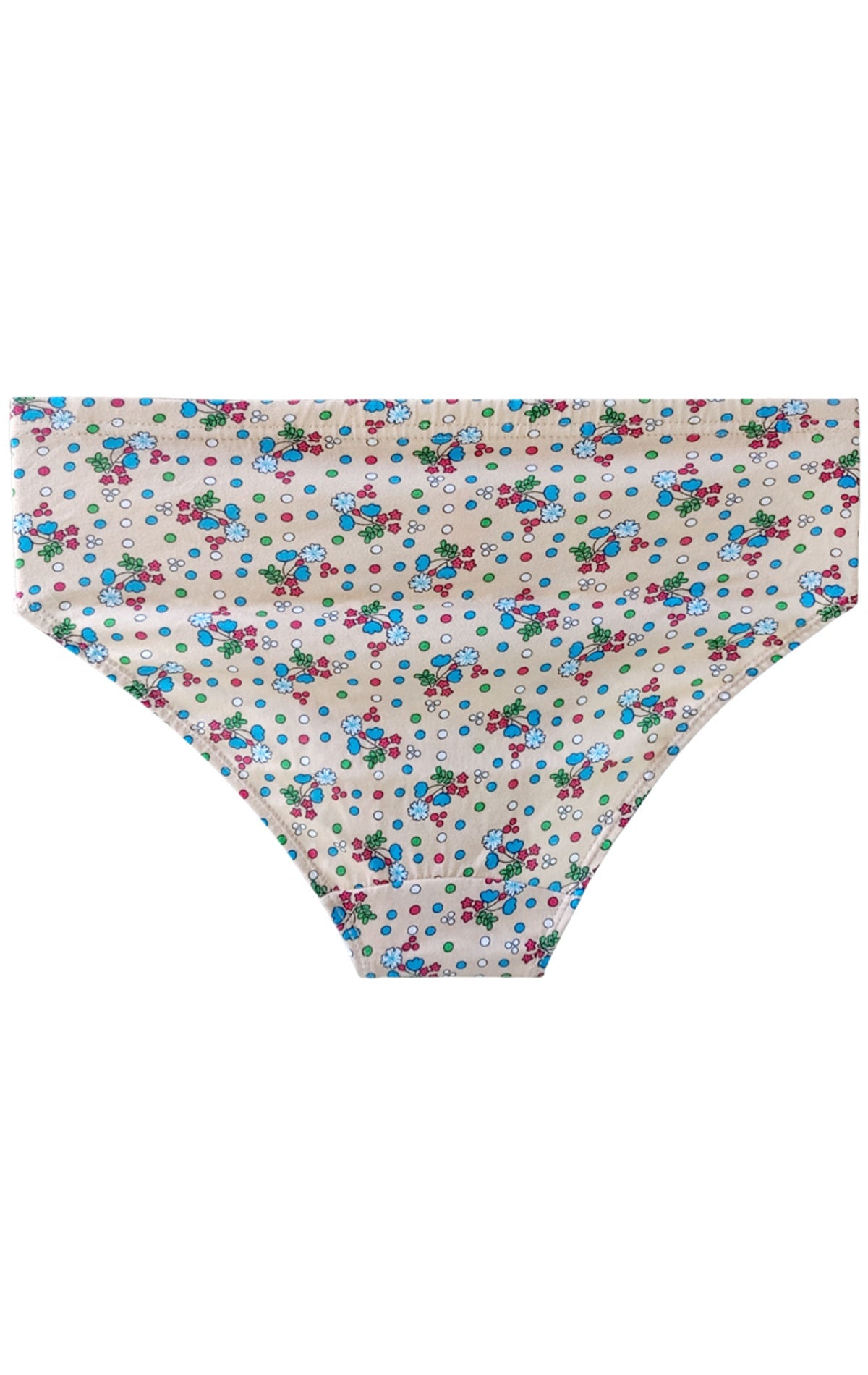 Bodycare Womens 100% Combed Cotton Printed High Cut Panties-4406