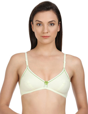 Perfect Coverage Bra-5548GR