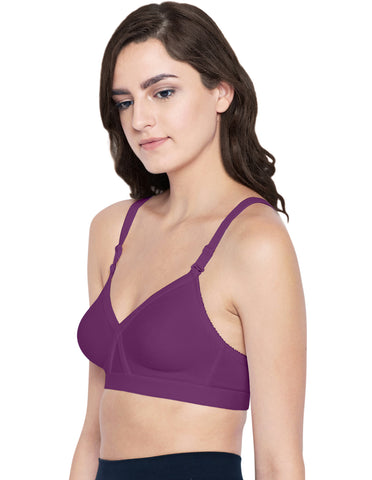 B-C-D Cup Bra-5589WI