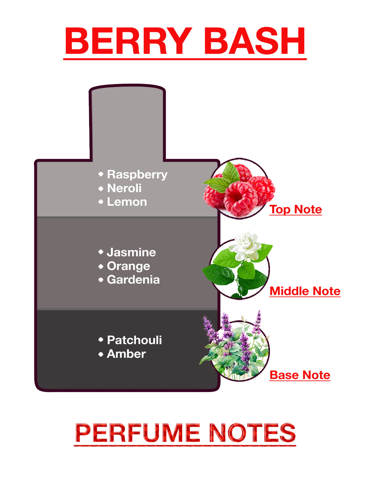 Berry Bash Body Mist by BodyX (200ml) – Feminine & Lasting Aroma