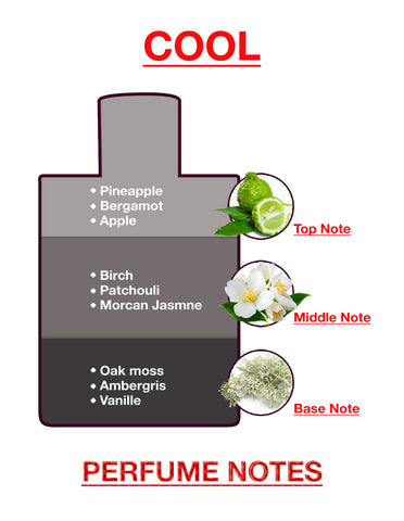 BodyX Cool Eau De Parfum for Men (100ml) – Intense, Lasting Scent