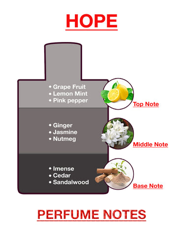 BodyX Hope Eau De Parfum for Men Long-Lasting Masculine Fragrance-25ml