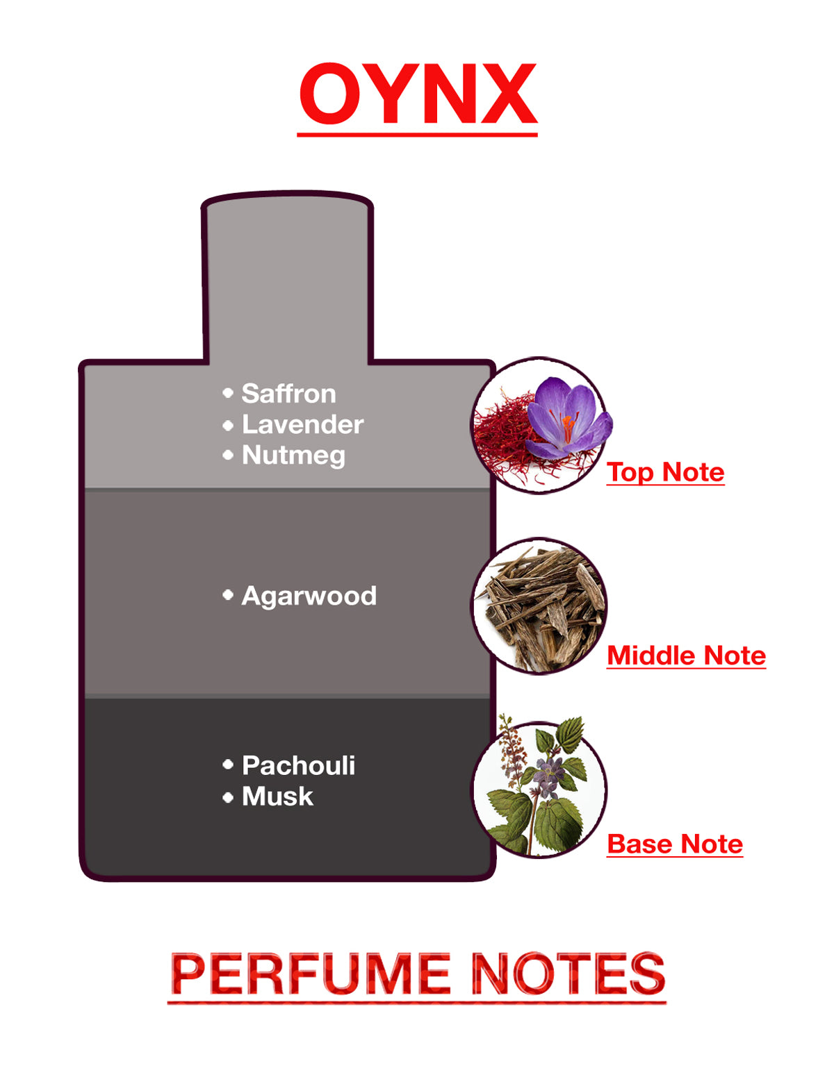 BodyX Onyx Eau De Parfum for Men Long-Lasting Masculine Fragrance-100ml