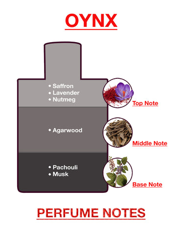 BodyX Onyx Eau De Parfum for Men Long-Lasting Masculine Fragrance-100ml