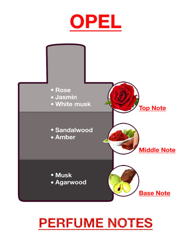 BodyX Opel Eau De Parfum for Men Long-Lasting Masculine Fragrance-100ml