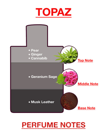 BodyX Topaz Eau De Parfum for Men Long-Lasting Masculine Fragrance-25ml