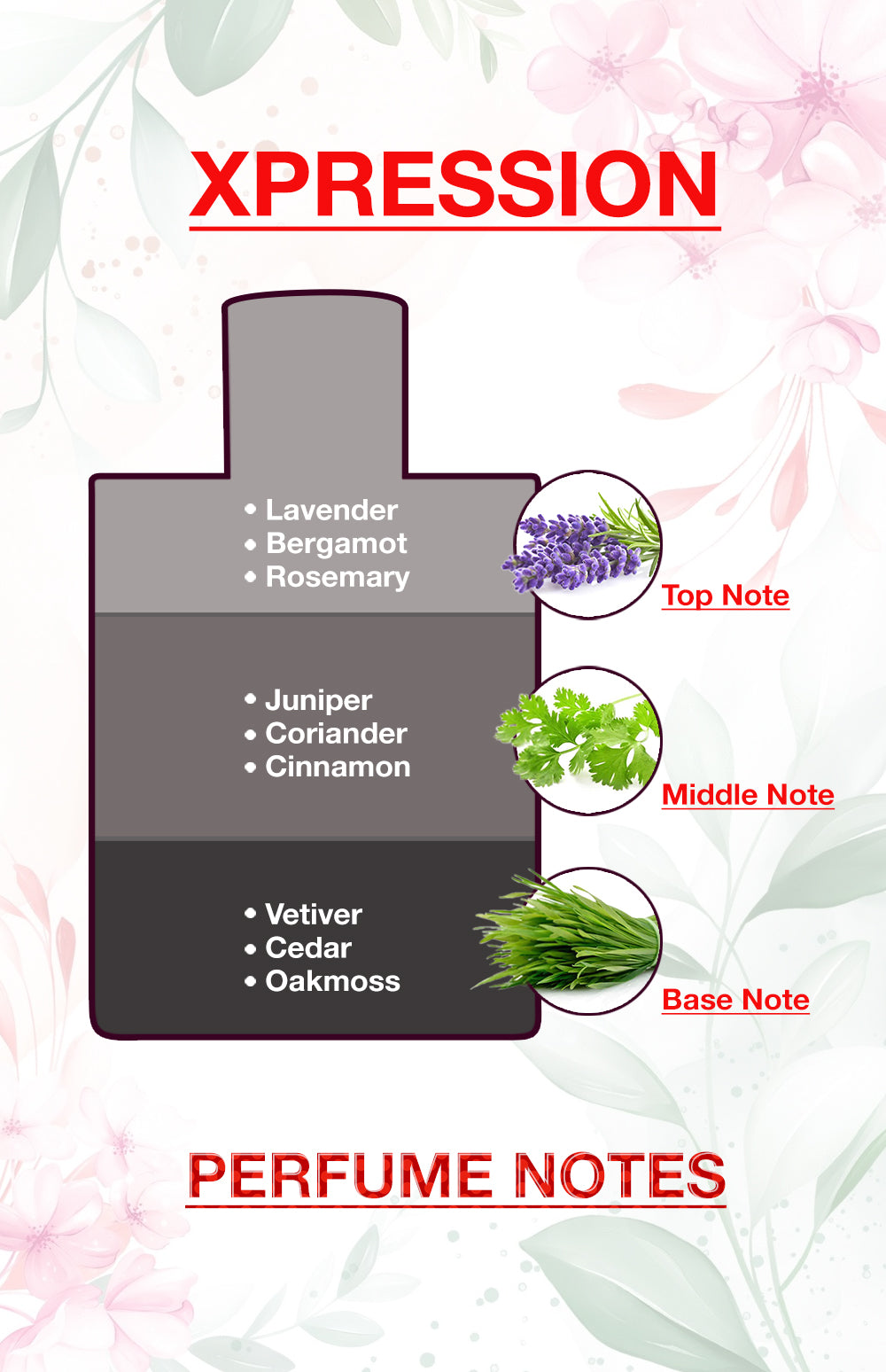 BodyX Unisex Deodorant XPRESSION Deo 1