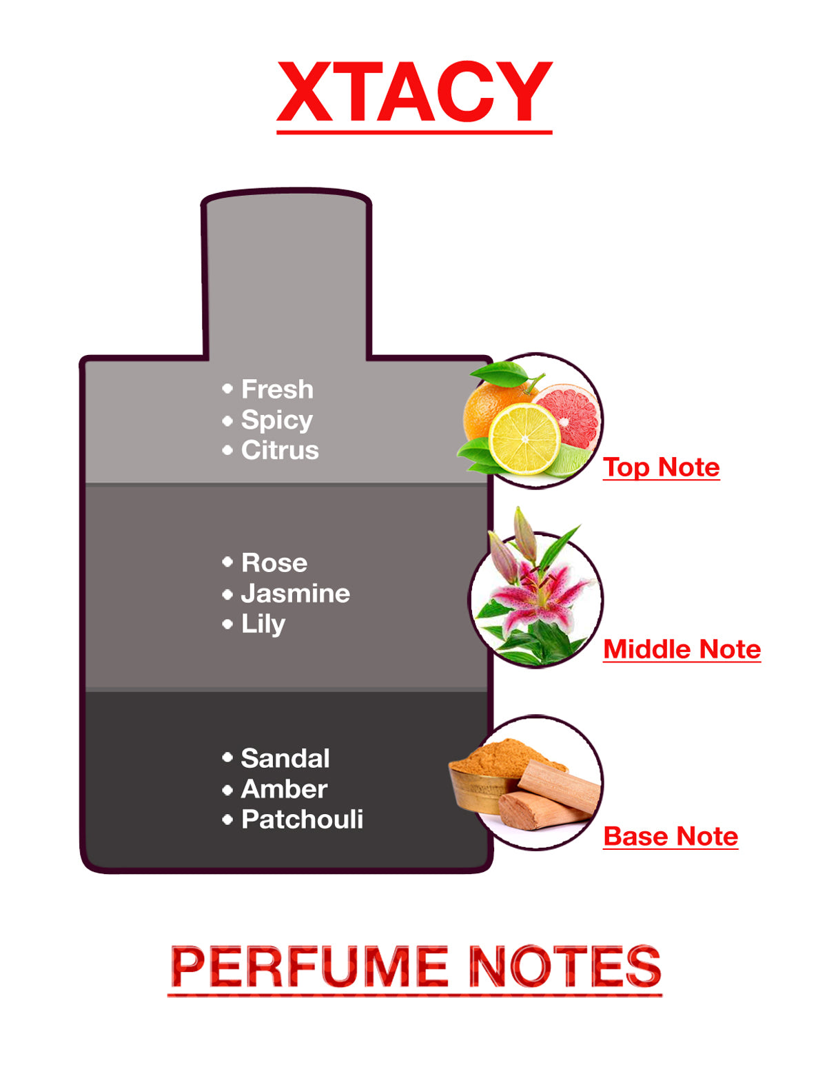 BodyX Xtacy Deodorant for Men (150ml) – Long-Lasting Fresh Fragrance