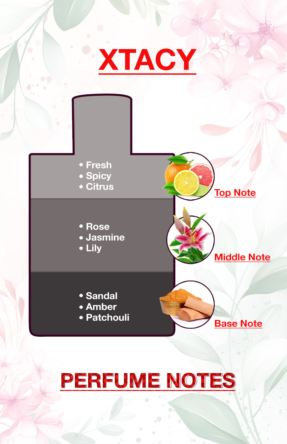 BodyX Unisex Deodorant XTACY Deo 1