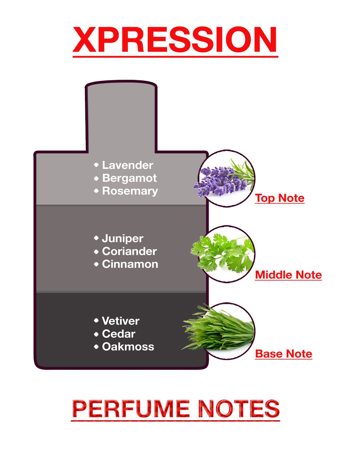 BodyX Xpression Deodorant for Men (150ml) – Long-Lasting Fresh Fragrance