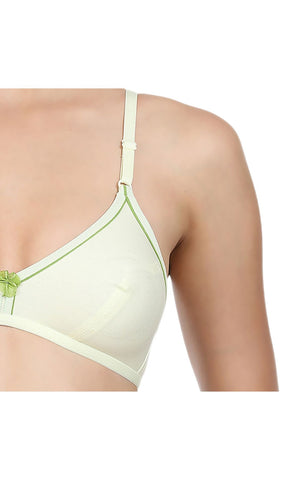 Perfect Coverage Bra-5548GR