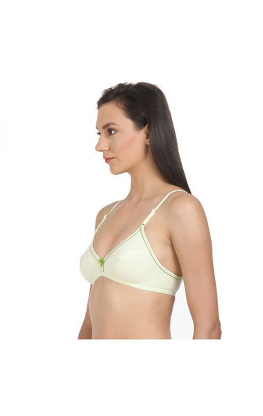 Perfect Coverage Bra-5548GR